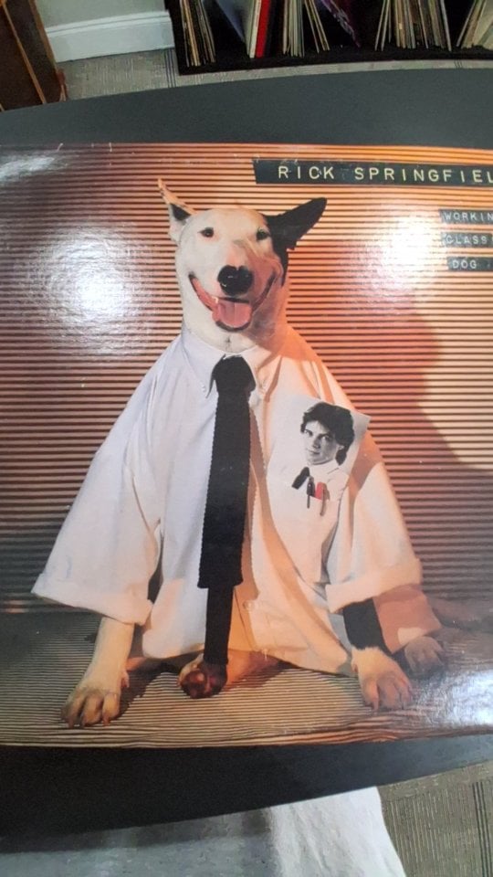 Rick Springfield — Working Class Dog (Vinyl)