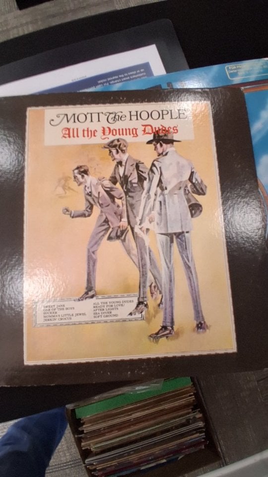 Mott The Hoople — All the Young Dudes (Vinyl)